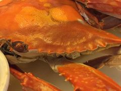 -莆鑫海鲜城(浏河店)