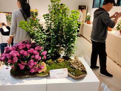 -汇龙潭
