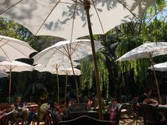 -Fern Forest Cafe