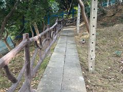 -仙岳公园