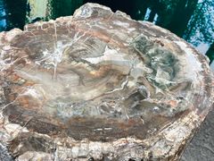 -延庆地质公园博物馆