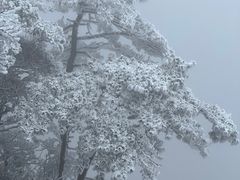 -萍乡武功山风景名胜区