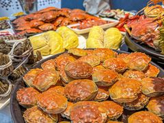 -半岛听涛蒸汽海鲜自助(K11店)