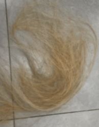 -HAIR HERE造型