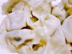 -东方饺子王(新奥购物中心店)