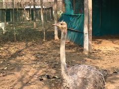 -草根堂农场