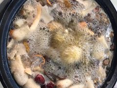 -七采菌园·石锅鱼野生菌火锅(环城北路店)