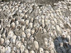 -碧桂园十里银滩
