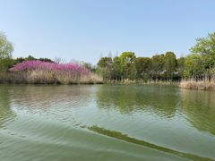 -苏州太湖国家湿地公园