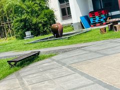 -镇江中国醋文化博物馆