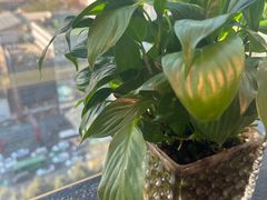 -唐猫庭院·千年陕菜(赛格国际购物中心店)