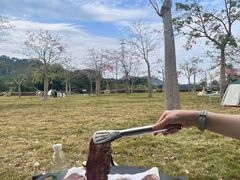 -风云岭森林公园