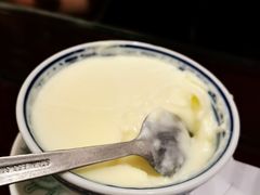 顺德双皮奶-民信老铺(双皮奶博物馆店)