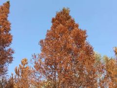 -沂蒙云瀑洞天景区