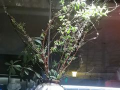-花锦堂·隐庐