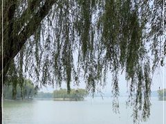 -颐和园