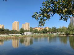 -颜真卿公园-文博苑景区