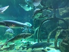 -华夏文旅海洋公园