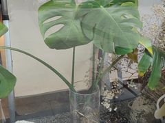 -川匠·睡眠采耳·SPA(九眼桥店)