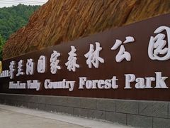 -茅兰沟国家森林公园