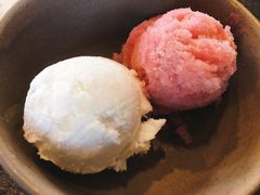 红毛丹雪芭-莓园冰淇淋店