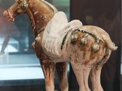 -衢州市博物馆