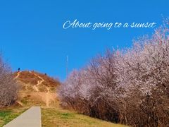 -明秦王墓遗址