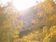 -四川大学(华西校区)