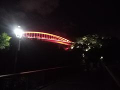 -金鸡山公园