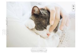 点击看大图 -ZOO KIDS象集摄影工作室(西城公馆店)