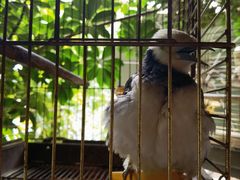 -铁炉农家菜馆