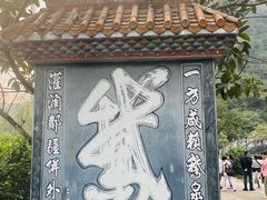 -靖西鹅泉风景区