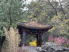 -香山公园