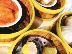 -肥佬夜茶(早茶·西乡店)