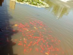 -前关湿地公园