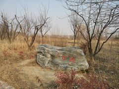 -淇河国家湿地公园