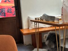-沏点Trattoria意大利餐厅(新街口店)