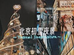 -三里屯东五街银杏大道