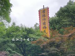 -杭州黄龙洞
