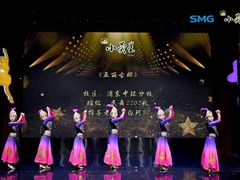 -小荧星艺校(浦东中环分校)