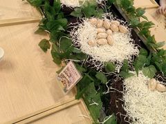 -FAIRYLAND龙族星球主题餐厅(凯丹广场店)