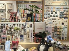 -猫的天空之城概念书店(束河店)
