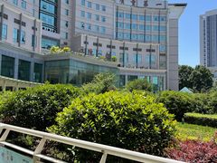 -西京医院