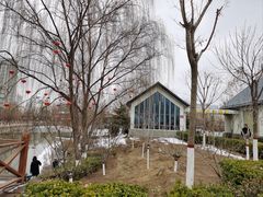 -雁滩公园