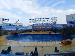 -海合安青岛极地海洋公园