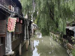 -枫泾丁氏烧卖(枫丽路店)