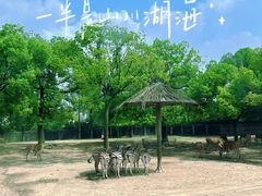 -上海野生动物园