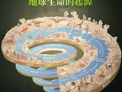 -遇见博物馆(遇见海洋沉浸式奇幻光影展)