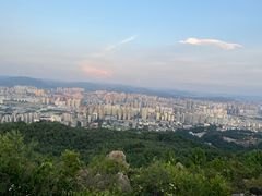 -长虫山生态公园风景林