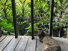 -铁炉农家菜馆